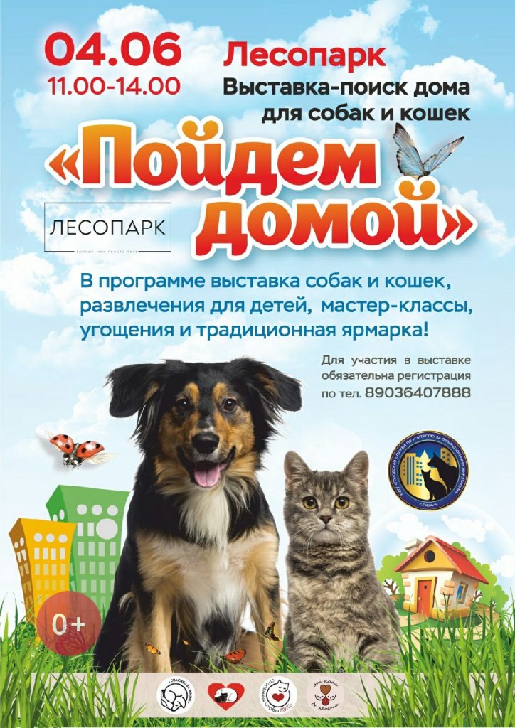 V-Lesoparke-proydet-vystavka-bezdomnykh-zhivotnykh