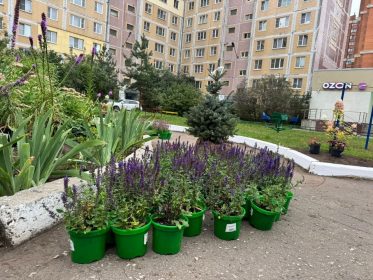 RASSHIRILI_ZONU_KOMFORTA