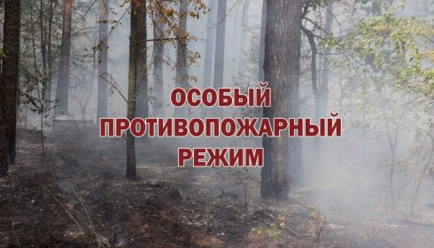 V_LES_–_NI_NOGOY