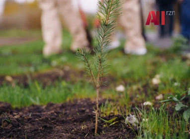 VESNOY_STANET_ZELENEYe