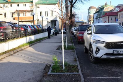 ZASHCHITILI_DEREV'YA