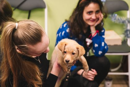 ZABRALI_POD_NOVYY_GOD