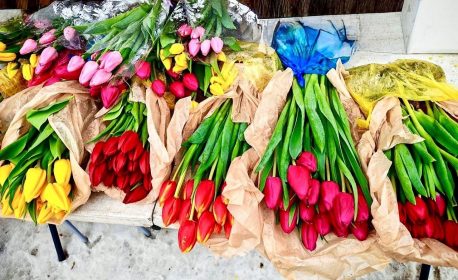 INSTRUKCIYa_K_8_MARTA